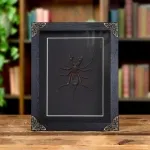 Minibeast Whip Scorpion In Baroque Style Frame (Hypocnoctus rangunensis)