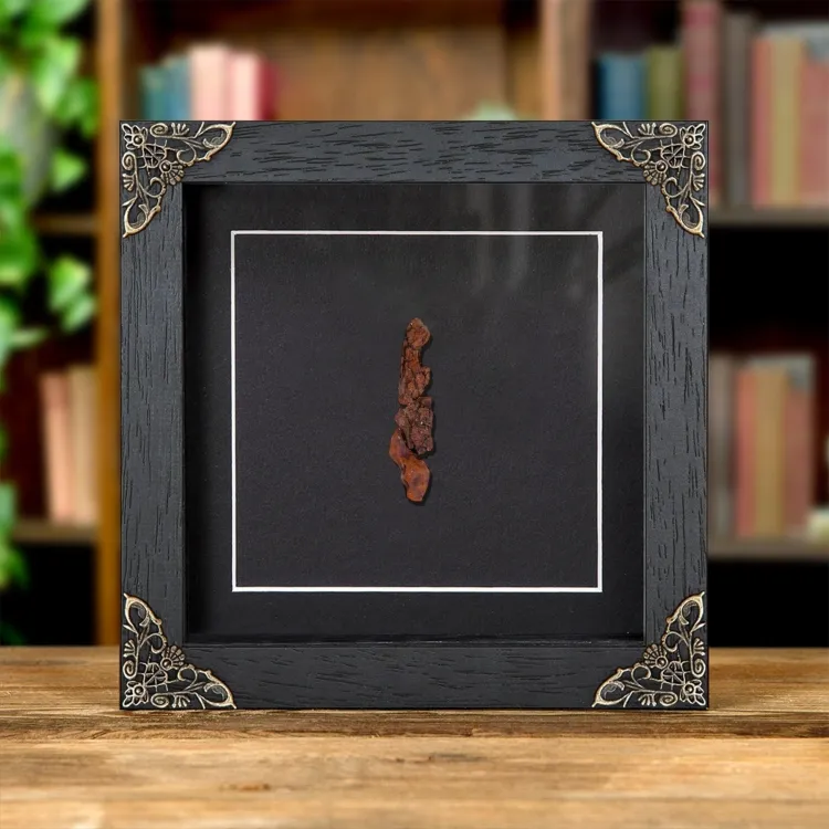 <strong>Fossilised Dinosaur Poo In Baroque Style Frame (Coprolite)</strong><br>Price: $61.99<br>Frame size: 6 x 6 Baroque Fossilised Dinosaur Poo In Baroque Style Frame (Coprolite)
