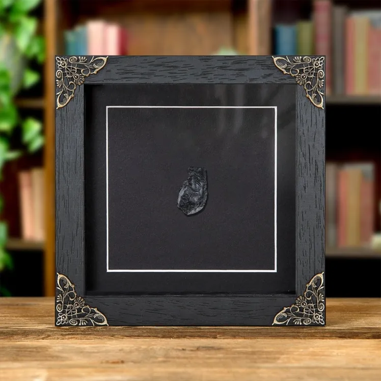 Tektite Meteorite Glass In Baroque Style Frame