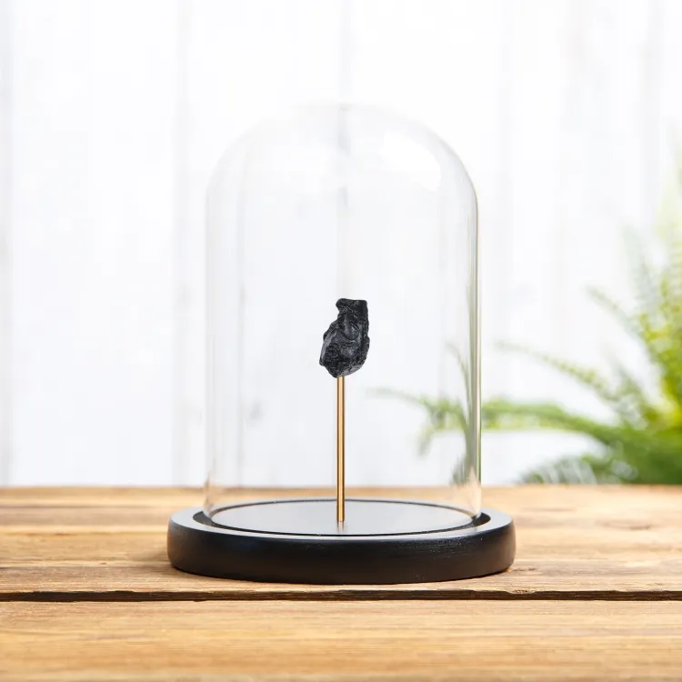 Tektite Meteorite Glass In Glass Dome with Wooden Base