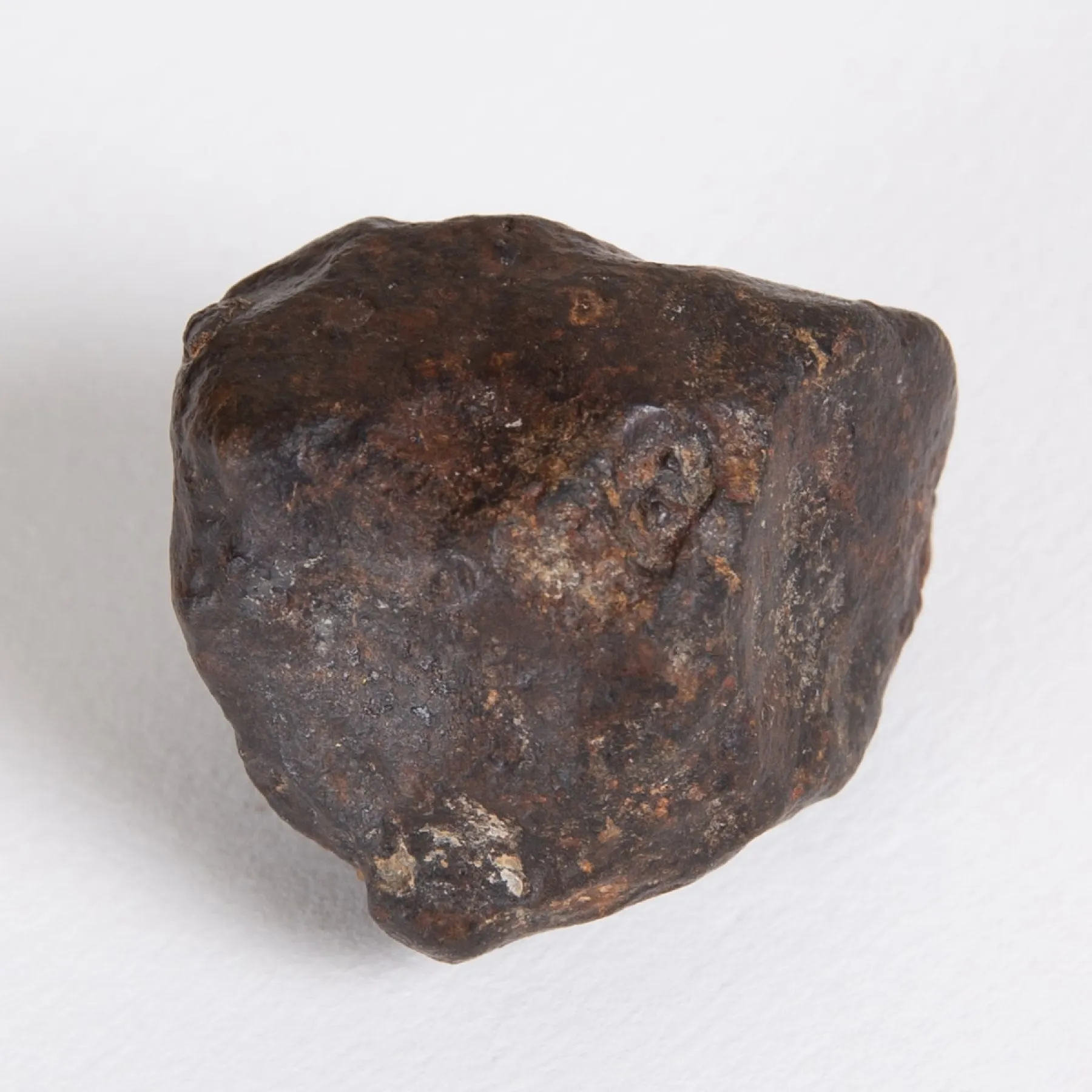 Minibeast Medio Meteorite in Cornice