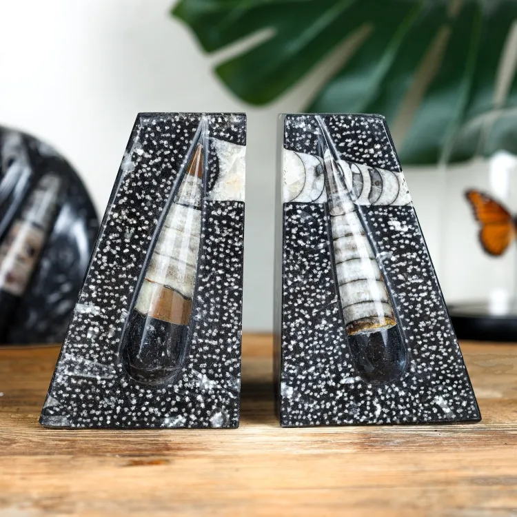 Marble Bookends with Fossilised Orthoceras
