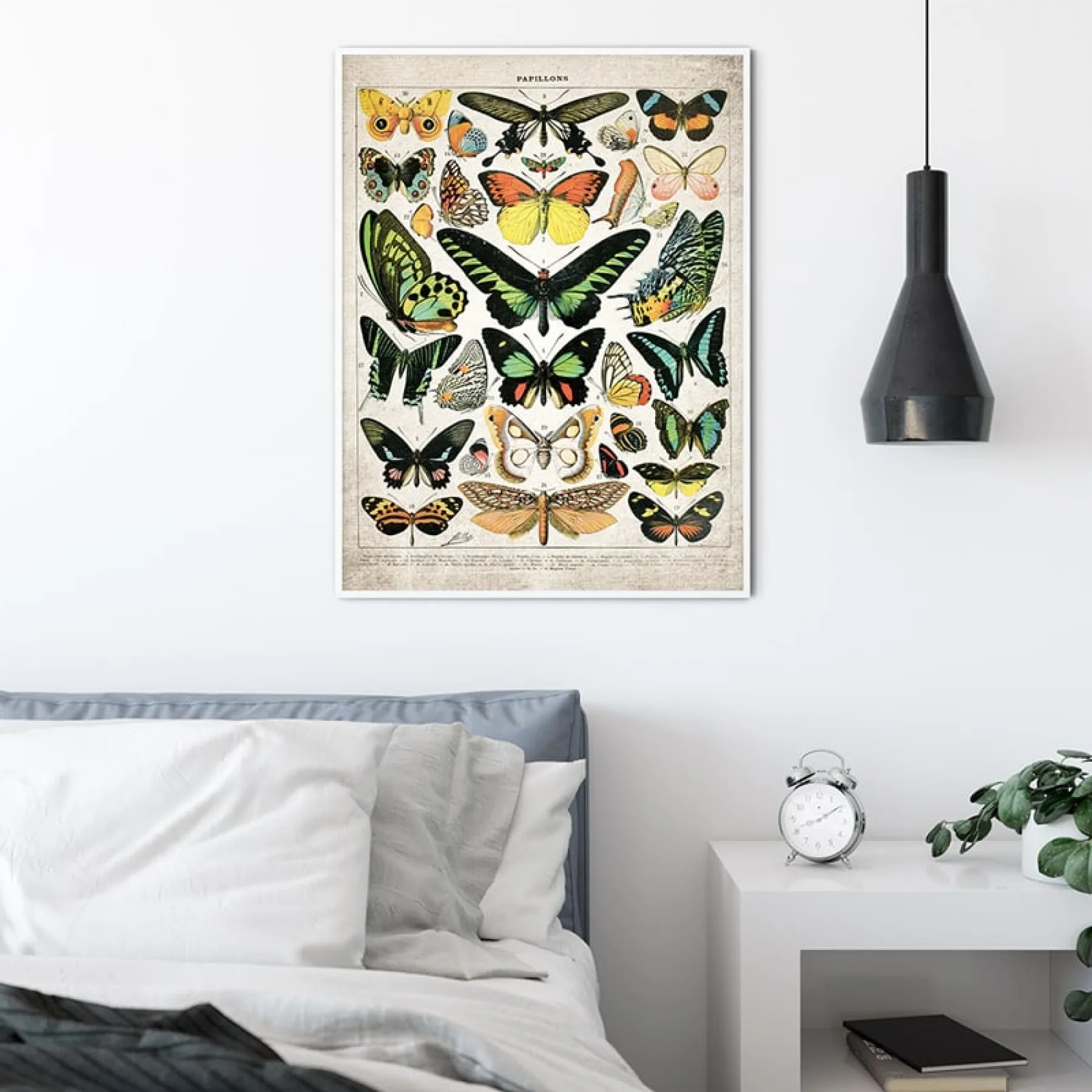Minibeast Vintage Entomologie Giclée-Druck (Schmetterlinge & Motten Platte 2 von 1907)
