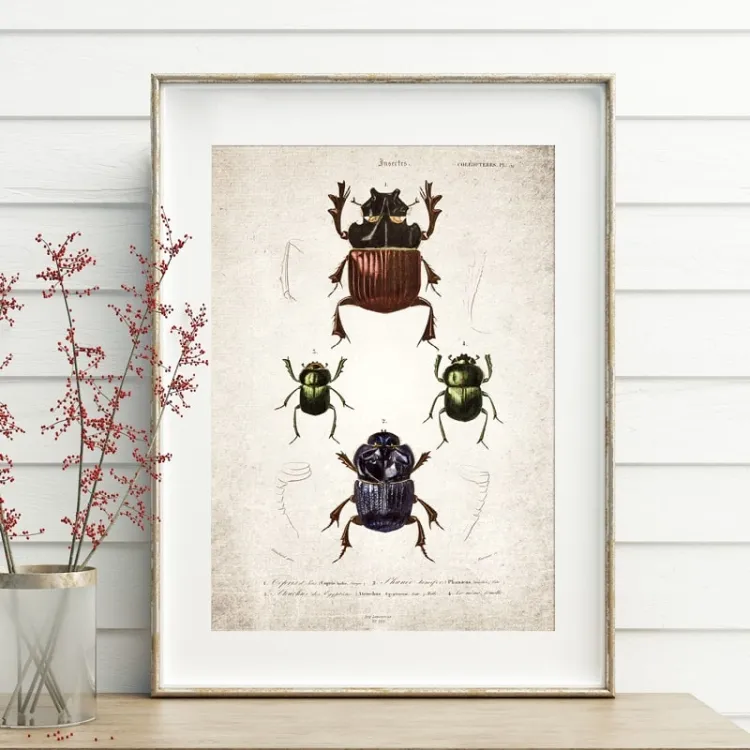 Vintage Entomology Giclee Print (Beetle Group Plate From 1907)