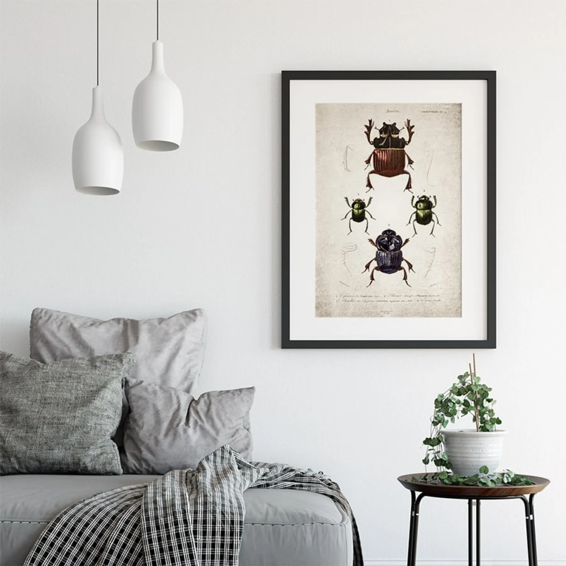 Minibeast Vintage Entomology Giclee Print (Beetle Group Plate From 1907)