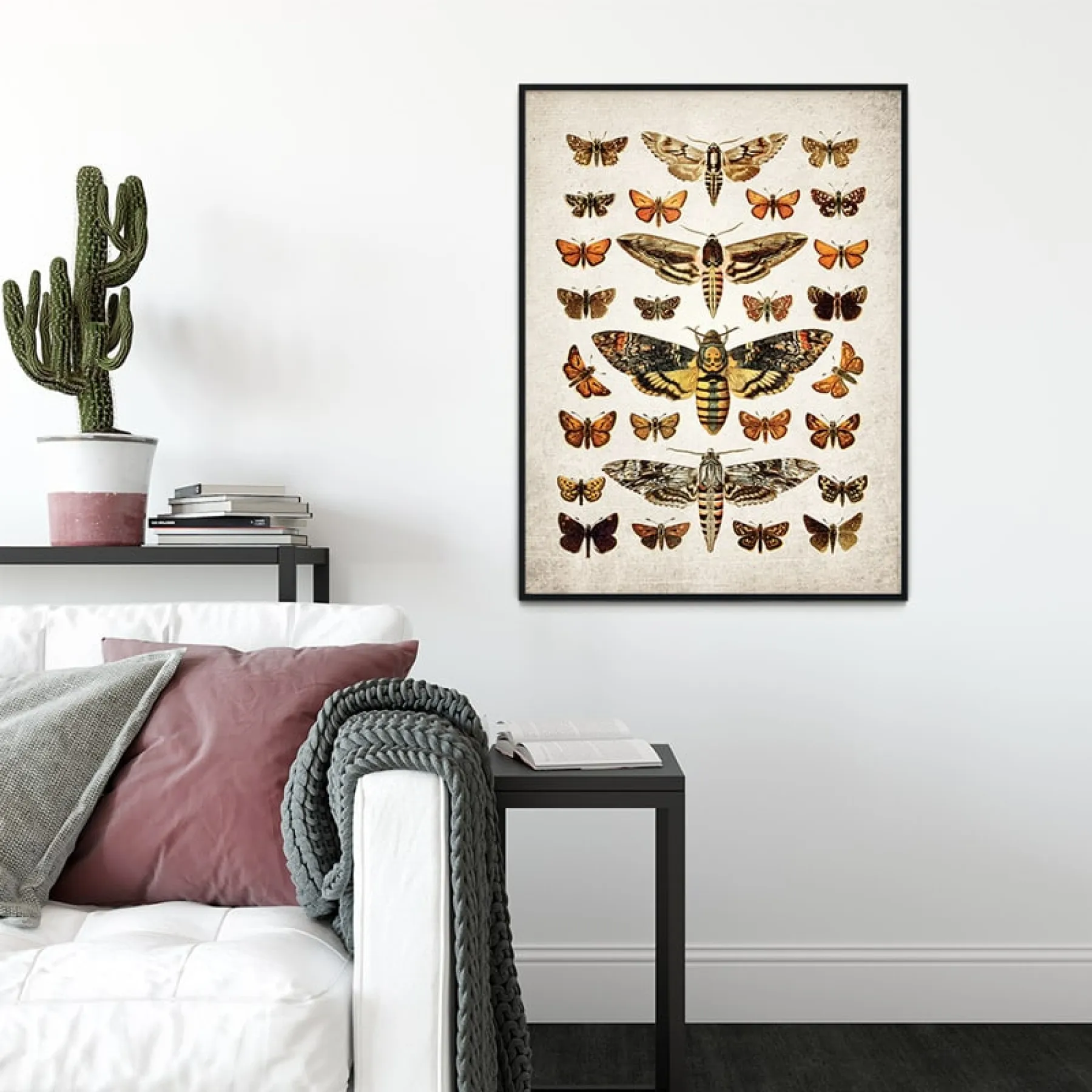 Minibeast Vintage Entomology Giclee Print (Death's Head & Moths Plate From 1907)