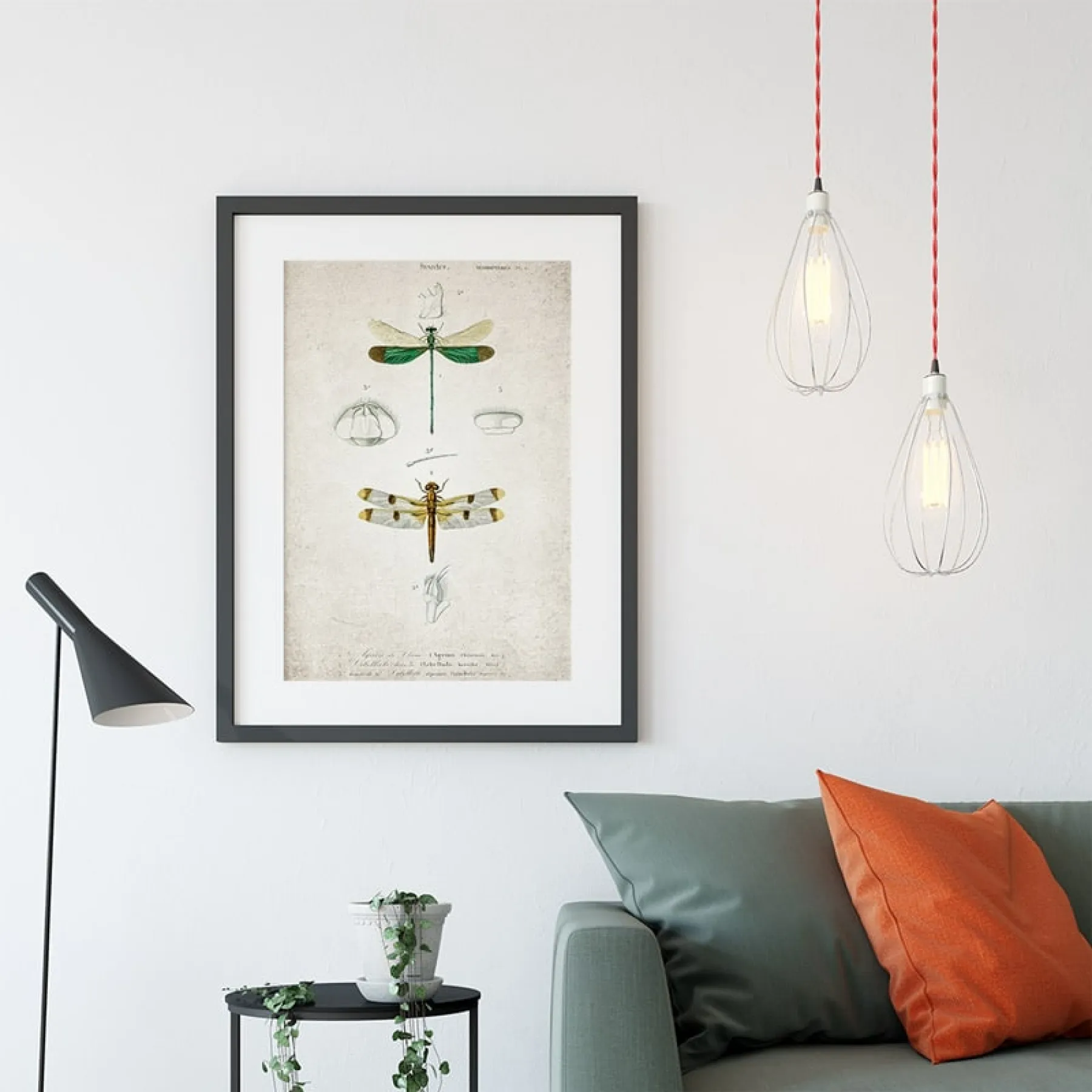 Minibeast Vintage Entomology Giclee Print (Dragonflies Plate From 1907)