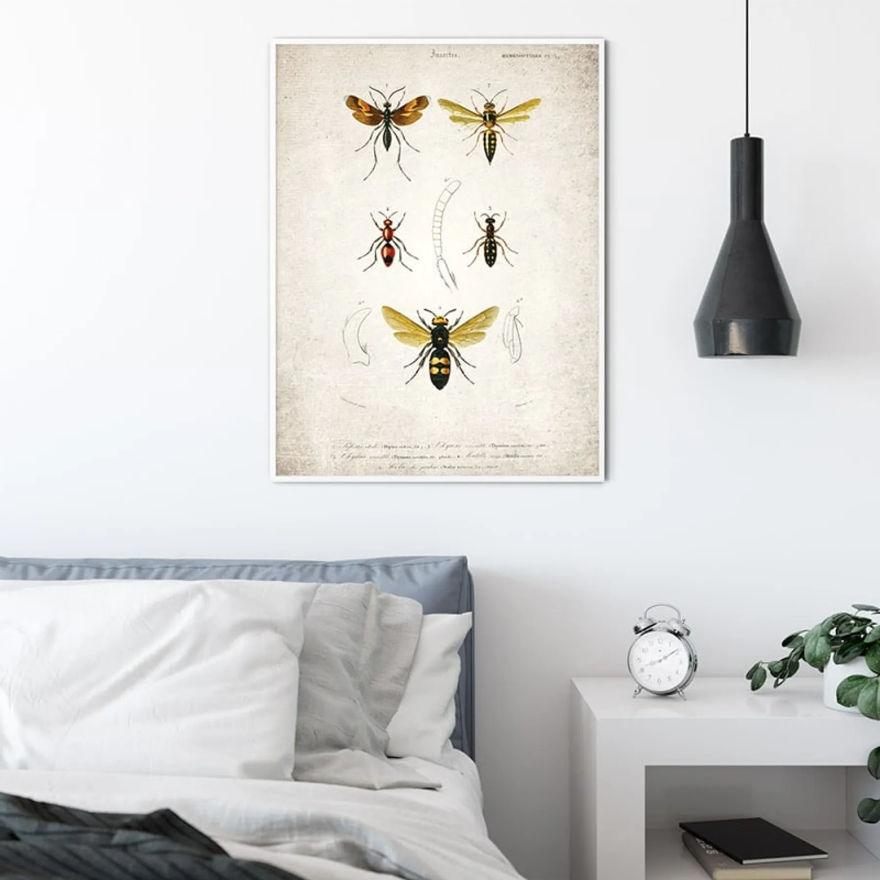Minibeast Vintage Entomology Giclee Print (Wasp Plate From 1907)