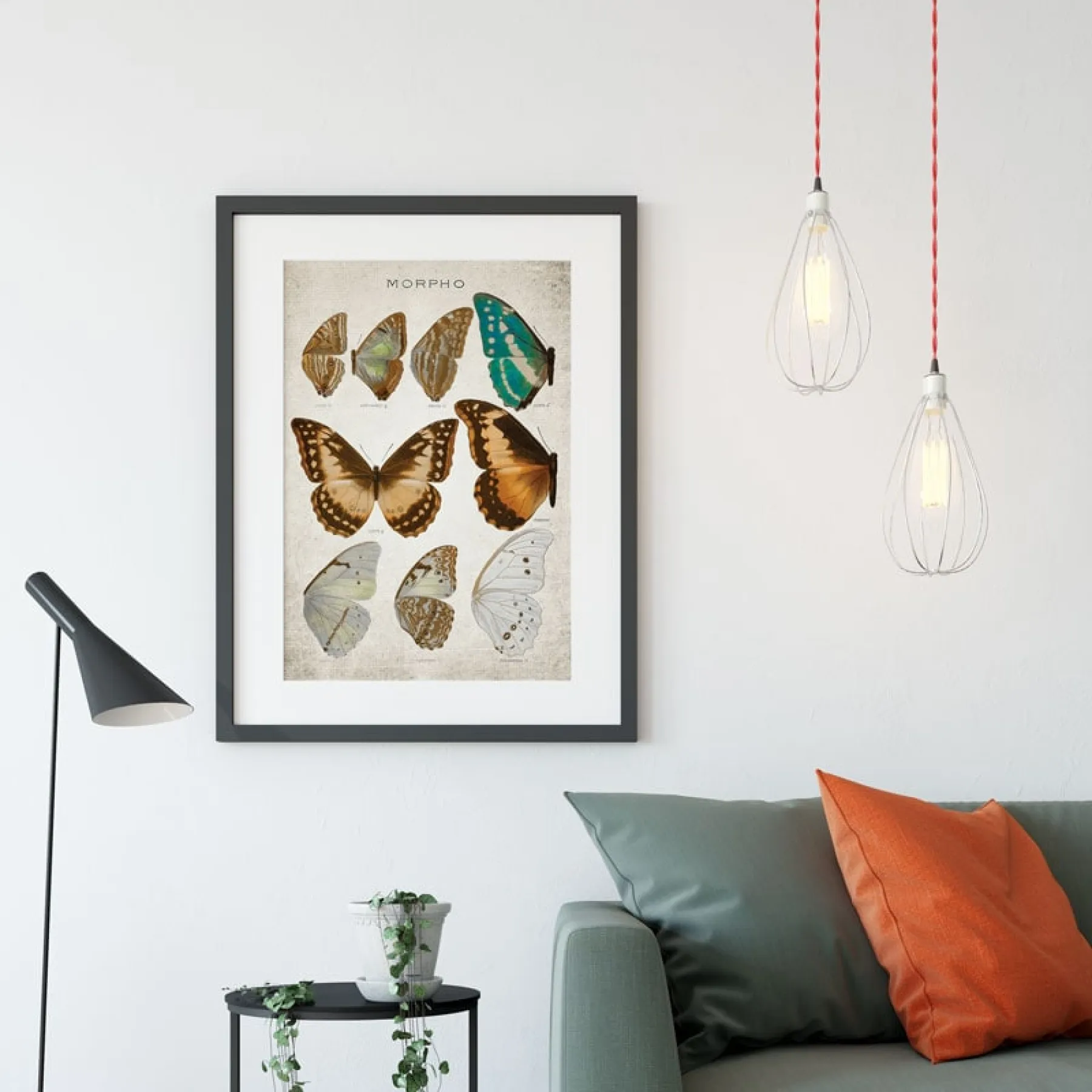 Minibeast Vintage Entomology Giclee Print (Morpho Collection 1 Plate From 1867)