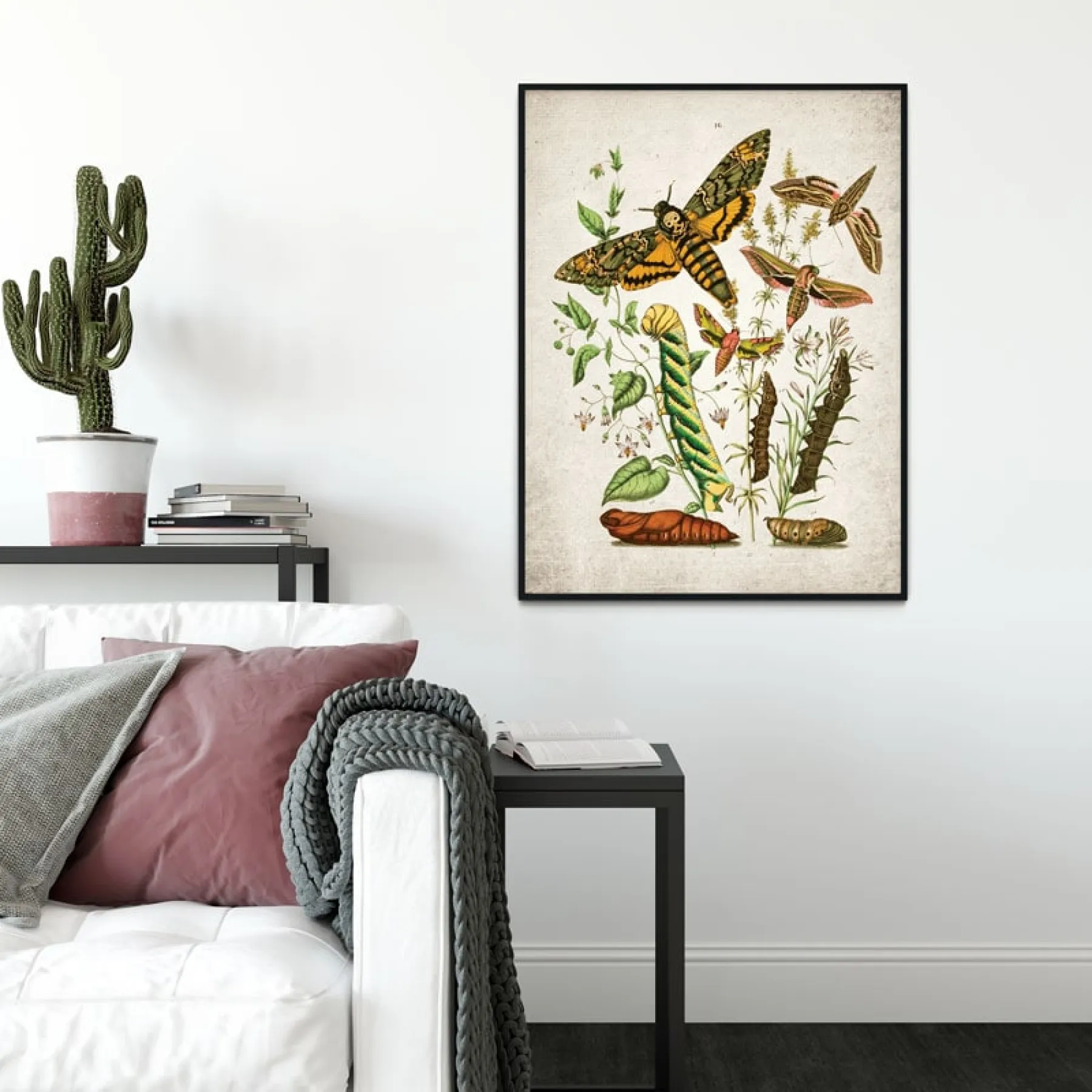 Vintage Entomology Giclee Print (Death Head Moth Plate From 1882)