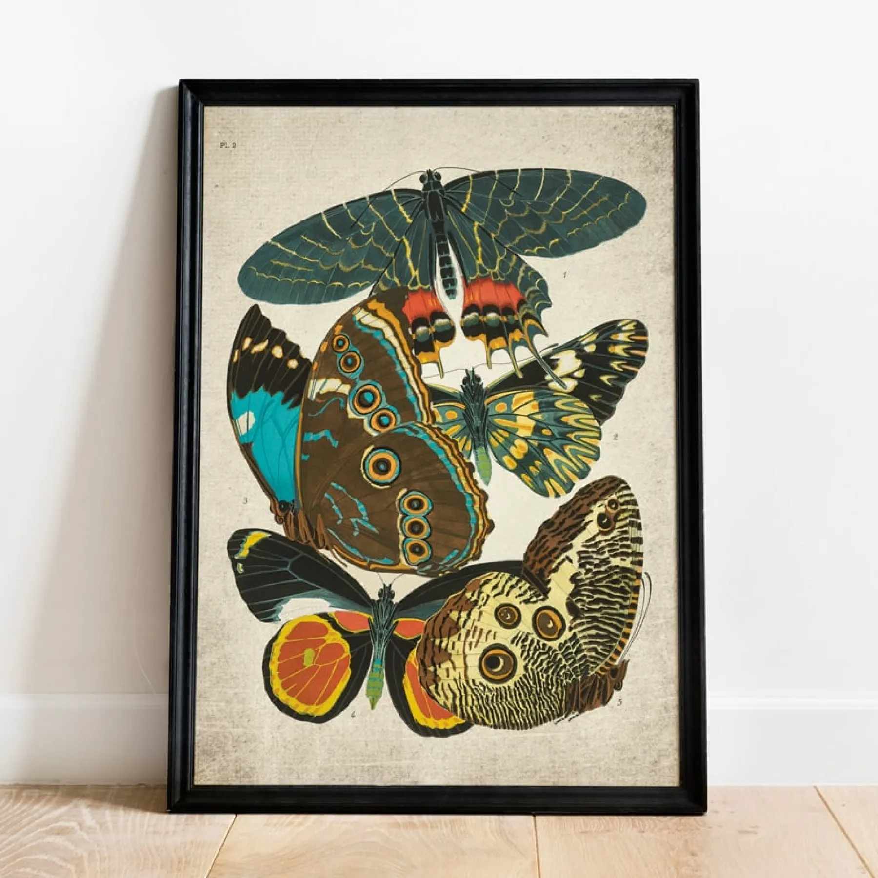 Minibeast Vintage Entomology Giclee Print (Papilio Scene #2 from 1925)