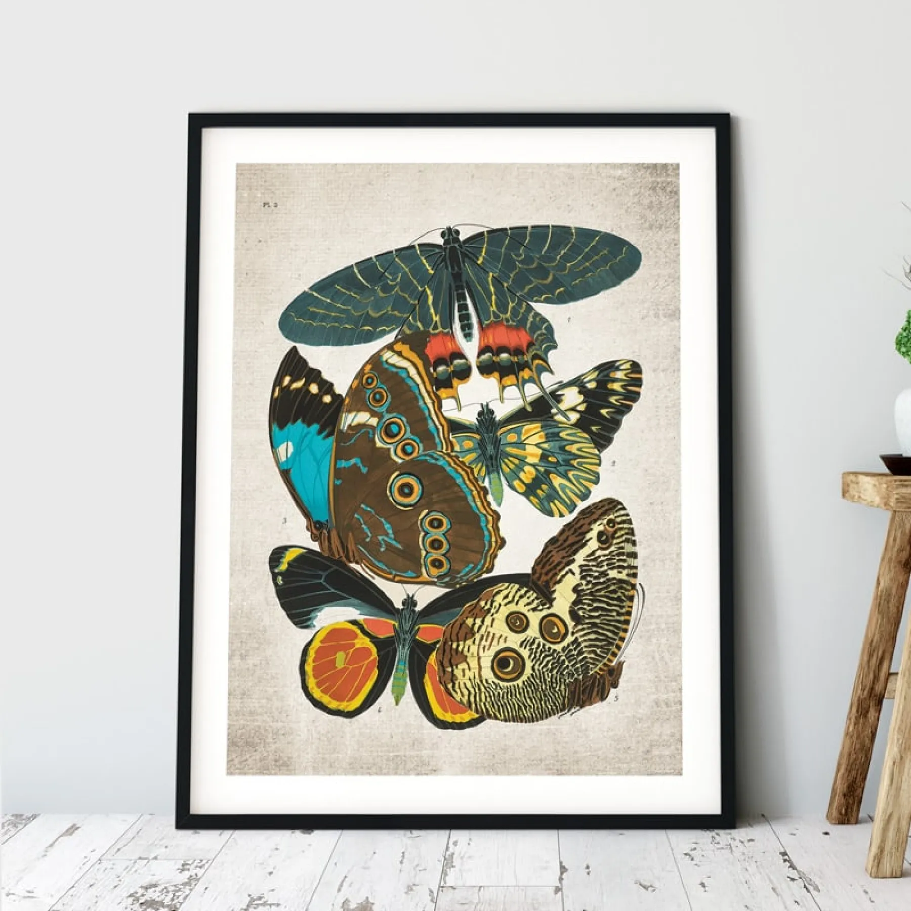 Minibeast Vintage Entomology Giclee Print (Papilio Scene #2 from 1925)