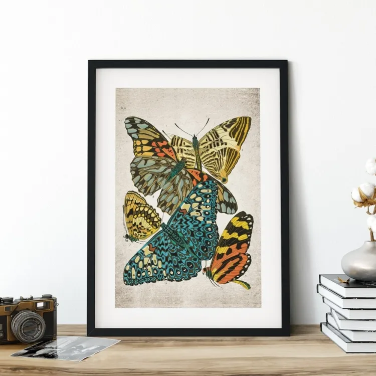 Vintage Entomology Giclee Print (Papilio Scene #3 from 1925)