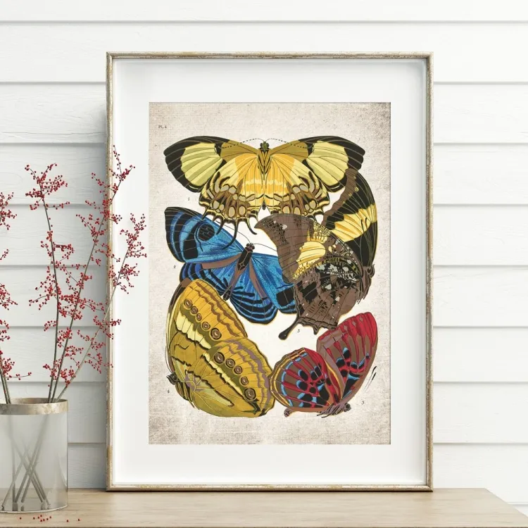 Vintage Entomology Giclee Print (Papilio Scene #1 from 1925)