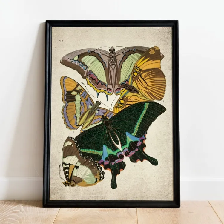 Vintage Entomology Giclee Print (Papilio Scene #6 from 1925)