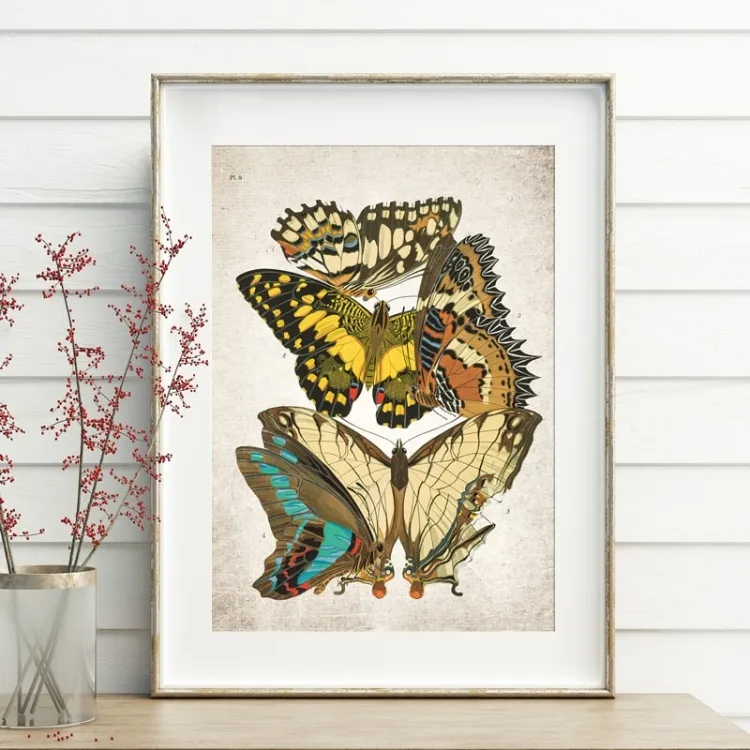 Vintage Entomology εκτύπωση giclée (Papilio Scene #7 από 1925)