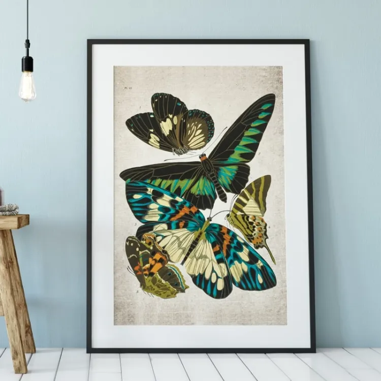 Vintage Entomology εκτύπωση giclée (Papilio Scene #8 από 1925)