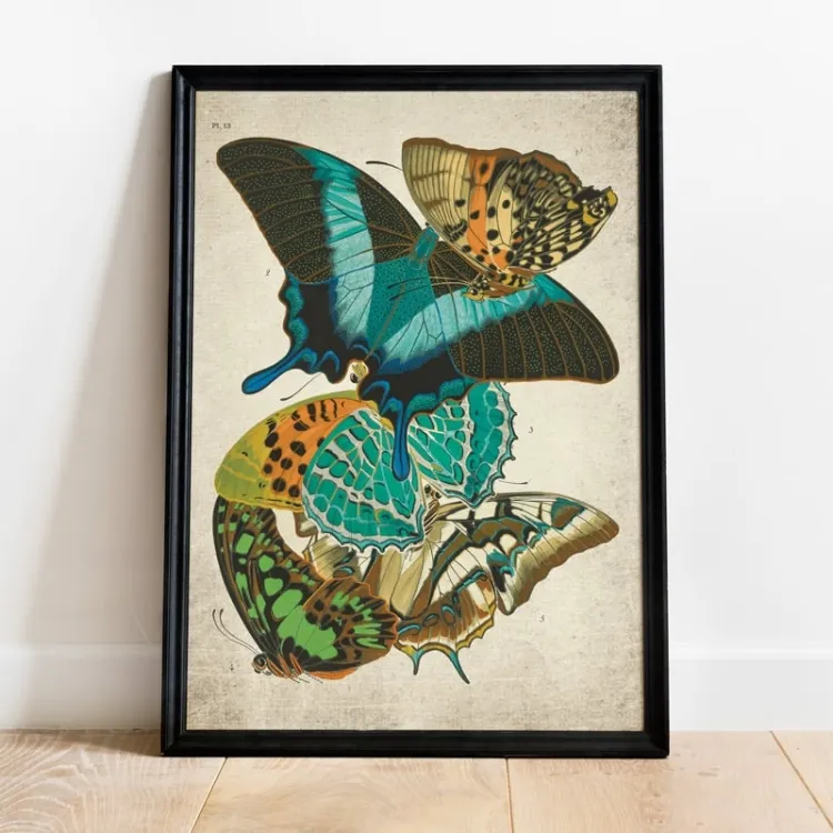 Vintage Entomology Giclee Print (Papilio Scene #10 from 1925)