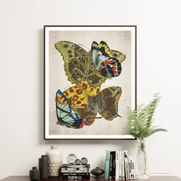 Vintage Entomology Giclee Print (Papilio Scene #11 from 1925)