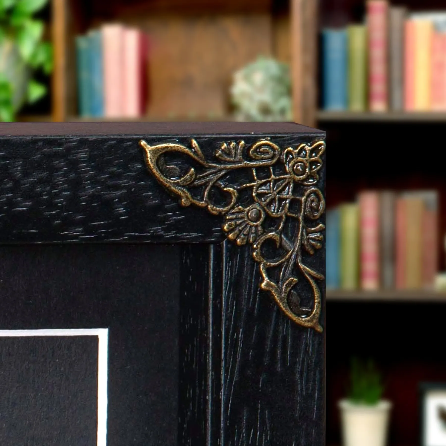Bedstraw Hawk-moth In Baroque Style Frame (Hyles gallii) Minibeast Bedstraw Hawk-moth In Baroque Style Frame (Hyles gallii)